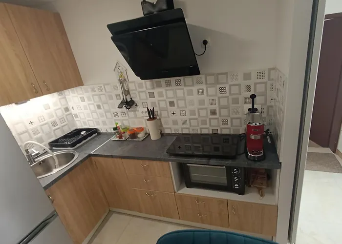 Little Lion Apartamento