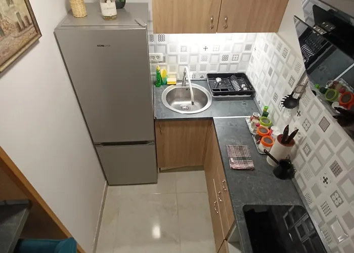 Little Lion Apartamento *